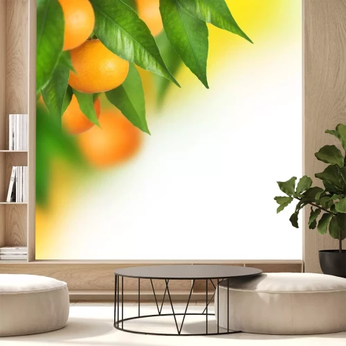 Sticker Rijpe mandarijnen groeien. Grens ontwerp