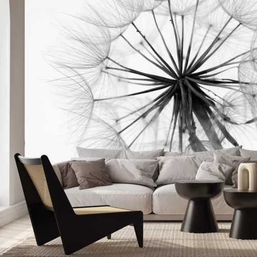 Fotobehang Delicaat paardebloemfruit