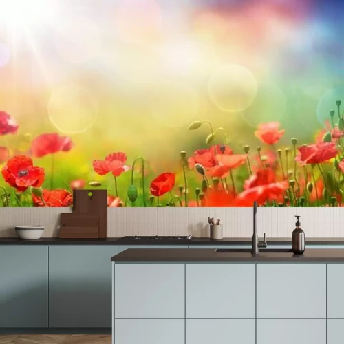 Fotobehang Wilde klaprozen in de volle zon