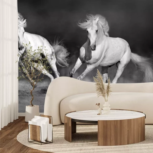 Fotobehang Twee galopperende rossen