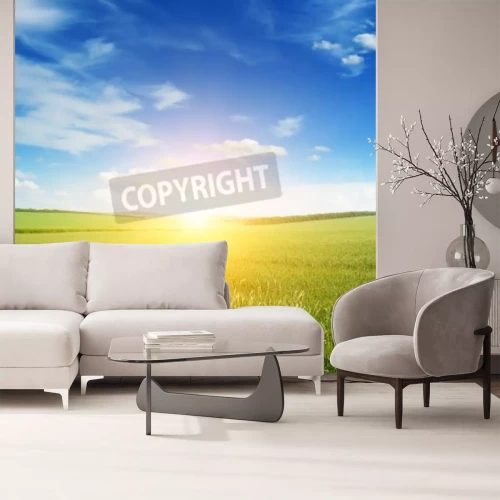 Fotobehang Zonsopgang op een groene weide