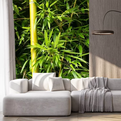 Fotobehang Bamboe in het exotisch bos