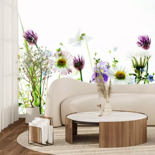 Fotobehang Lentebloemen op een witte achtergrond