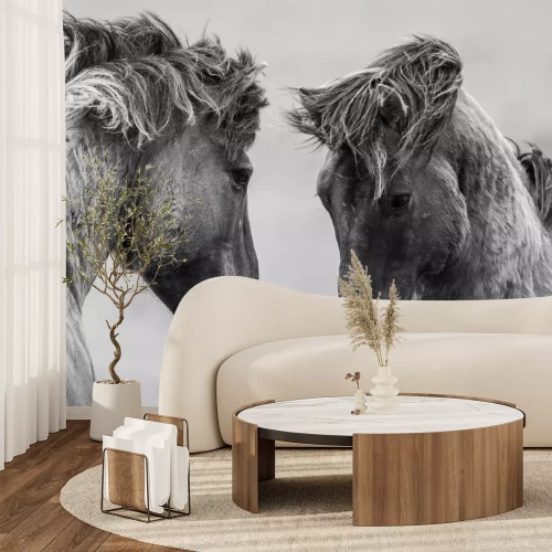 Fotobehang Portret van grijze paarden