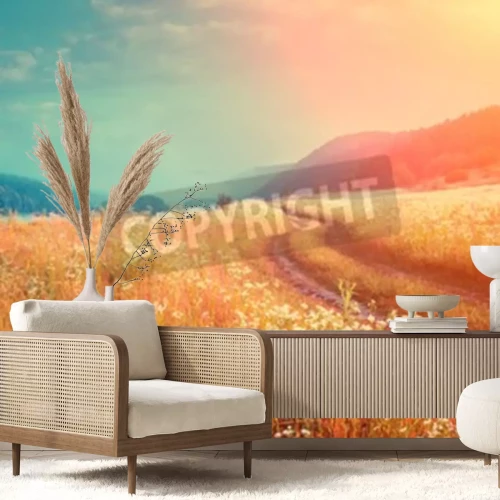 Fotobehang Zonsopgang boven een weide