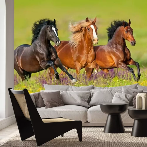 Fotobehang Paarden galopperen op de weide