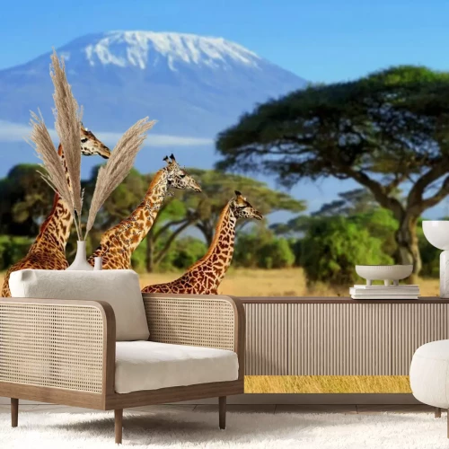 Fotobehang Afrikaans landschap met giraffen en Kilimanjaro