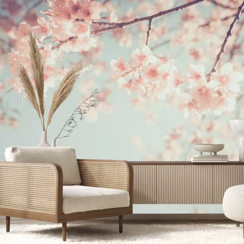 Fotobehang Kersenbloesem bloemen