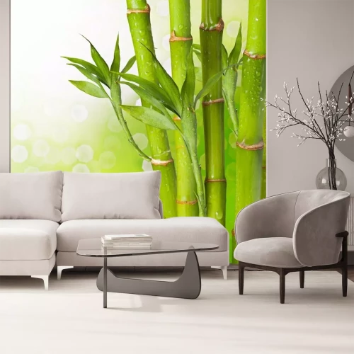 Fotobehang Natte bamboe op een groene achtergrond