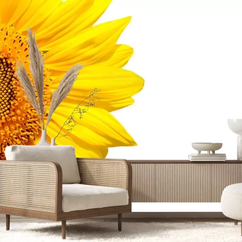 Sticker Zonnebloembloem op witte achtergrond wordt geïsoleerd die