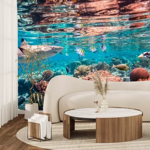 Fotobehang Haaien vissen en koraalrif