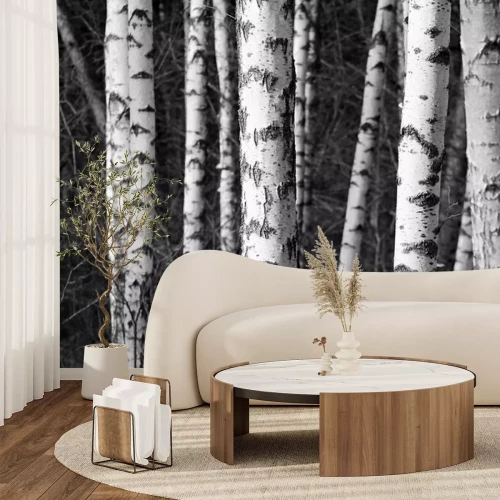Fotobehang Zwart-witte berkenstammen