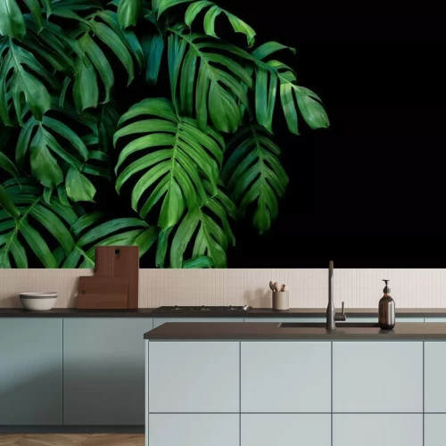 Fotobehang De natuur van de jungle op zwarte achtergrond