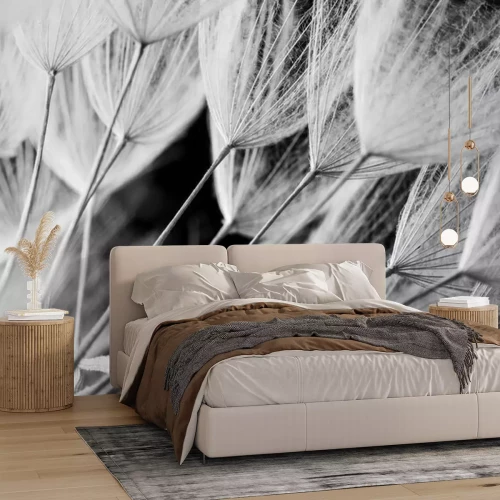 Fotobehang Paardenbloem op een zwart-witfoto