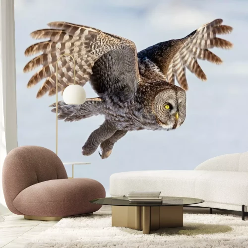 Fotobehang Uil vliegend op de achtergrond van de hemel