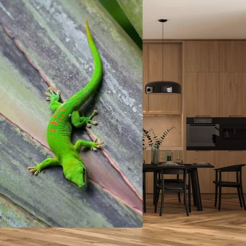 Sticker Madagaskar gecko in Zürich Zoo (Zwitserland)