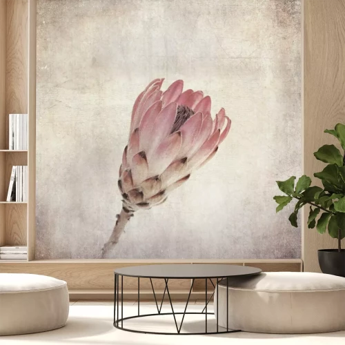 Fotobehang Een verouderde foto in shabby stijl