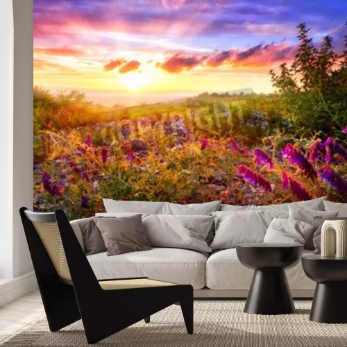 Fotobehang Zonsopgang en een veld vol bloemen