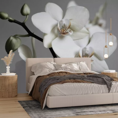 Fotobehang Retrocompositie van witte orchideeën op een grijze achtergrond