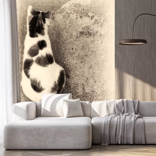 Sticker Kattenportret van een huiskat die achteruit zit