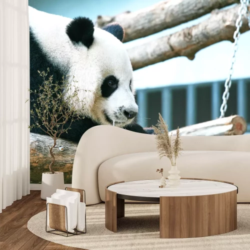 Fotobehang Panda op takken