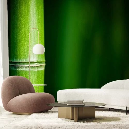 Fotobehang Bamboe in macro