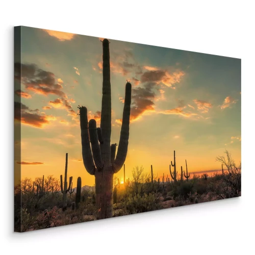 Canvas Zonsondergang boven de woestijn met cactussen