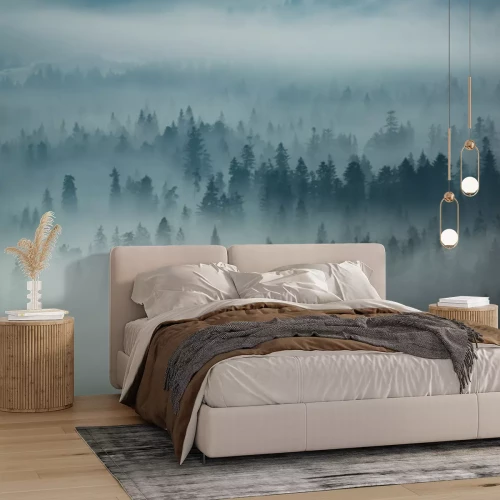 Fotobehang Tatragebergte en bossen in de mist, Zakopane, Polen