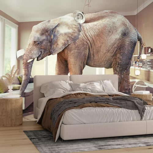 Fotobehang 3D olifant in de kamer