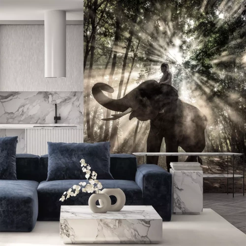 Fotobehang Olifant onder zonnestralen