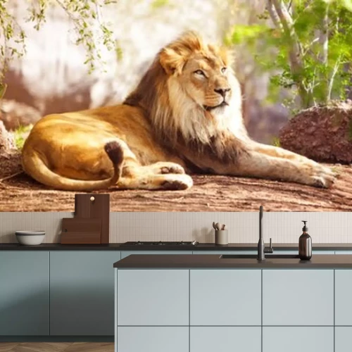 Fotobehang Liggende leeuw