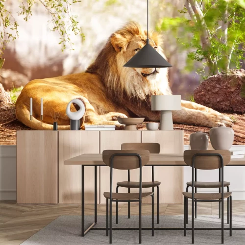 Fotobehang Liggende leeuw