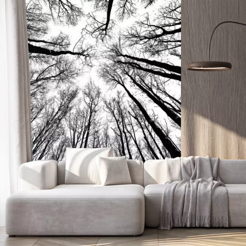 Fotobehang Zwart-witte natuur