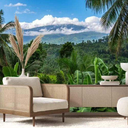 Fotobehang Mount Halcon in de wolken, Mindoro Island, Filipijnen