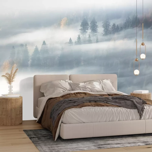 Fotobehang Motief van een bos in de mist