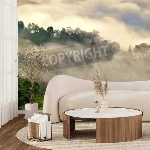 Fotobehang Ochtendnevel in het bos