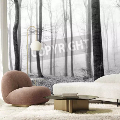 Fotobehang Solitaire boomstammen