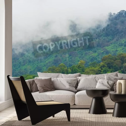 Fotobehang Bos in drie tinten groen