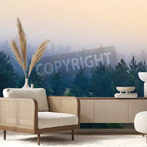 Fotobehang Kleine coniferen omgeven door mist