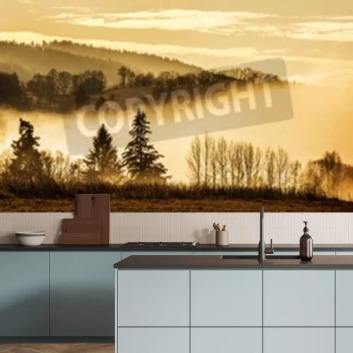 Fotobehang Silhouetten van bomen op een gele mist