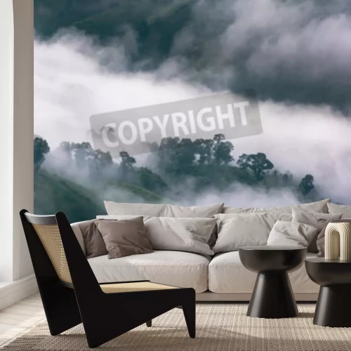 Fotobehang Regenwoud gehuld in mist