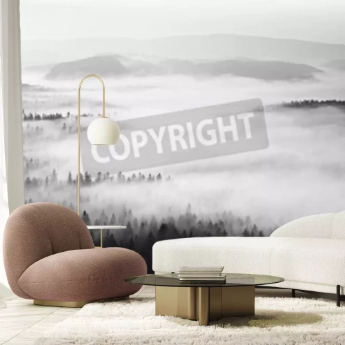 Fotobehang Monochroom mistig bos