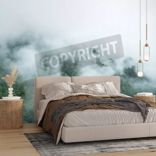 Fotobehang Nevel op de bosbodem