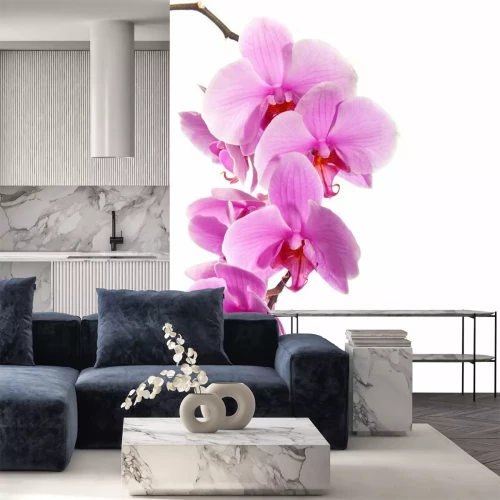 Sticker Grote orchideebloemen