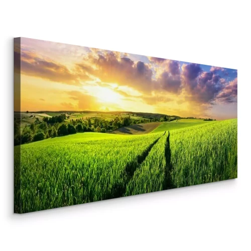 Canvas Groen veld bij zonsondergang