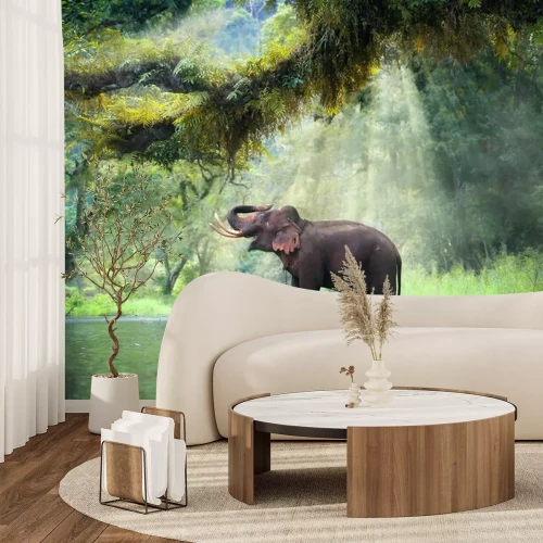 Fotobehang Olifant jungle