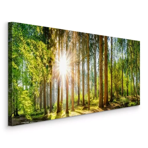 Canvas Zonnestralen in het bos