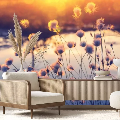 Fotobehang Wilde bloemen en planten in Sunset Landscape