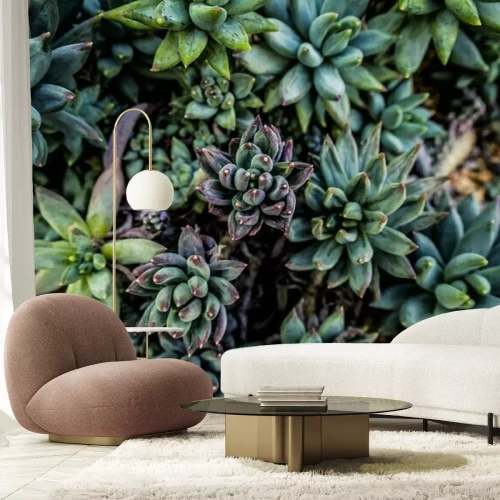 Fotobehang Donkergroene vetplanten