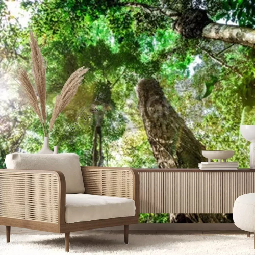 Fotobehang Bomen van de tropische jungle